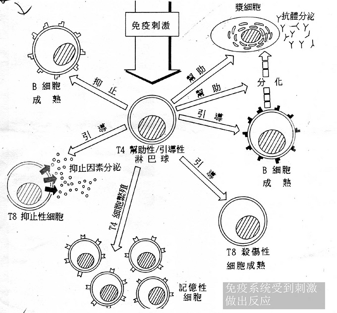 多聯(lián)機(jī)的通訊故障