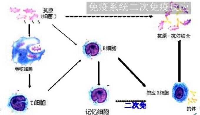 電壓不到300v