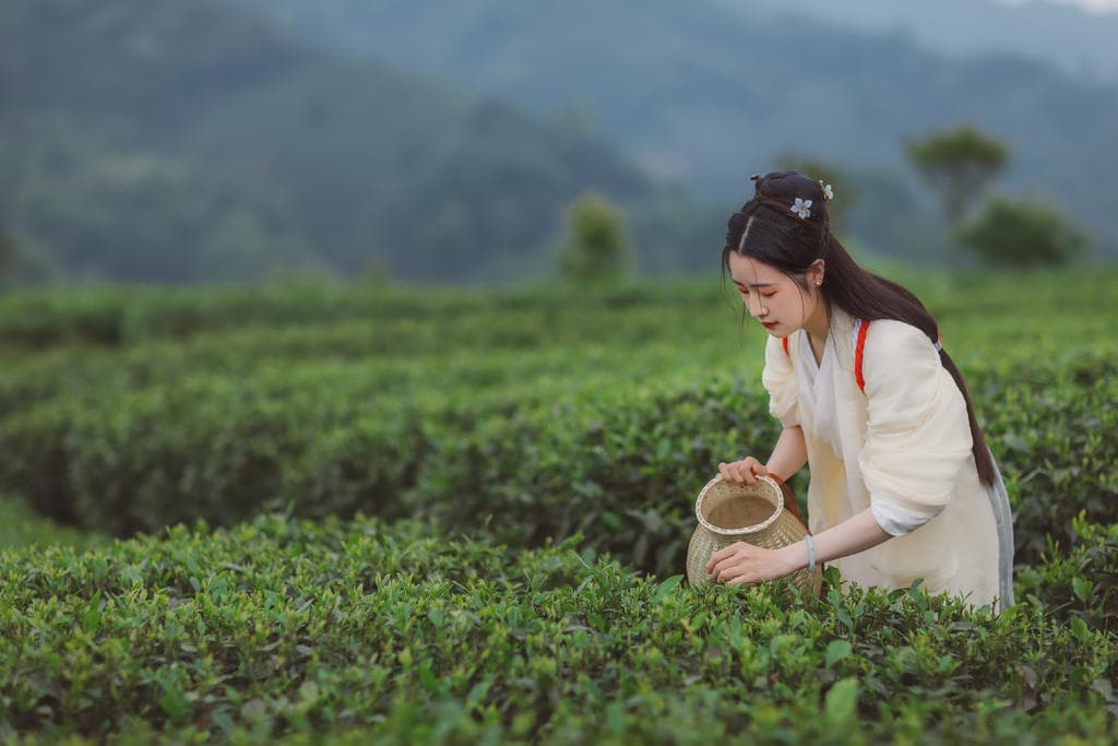 電磁爐有保險(xiǎn)絲圖片